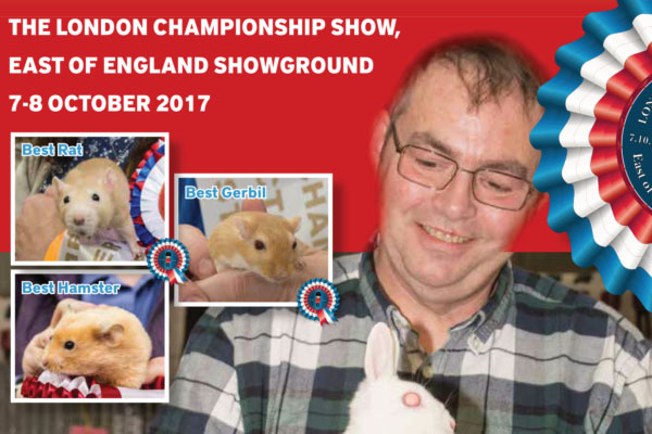 London Gazette 2017