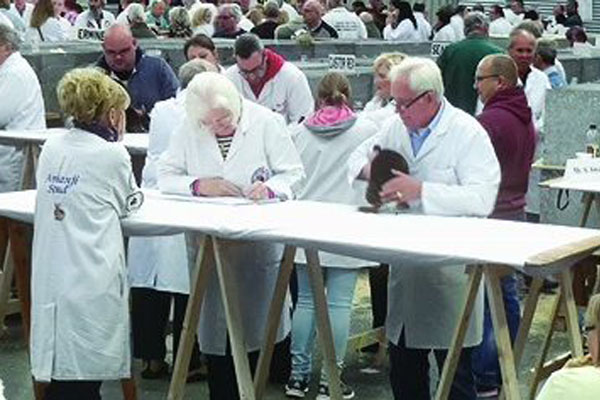 2024 London Entries<br>