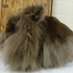 Lionhead Choc. Adult