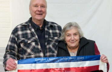BEST OF BREED WINNERS 2025                                