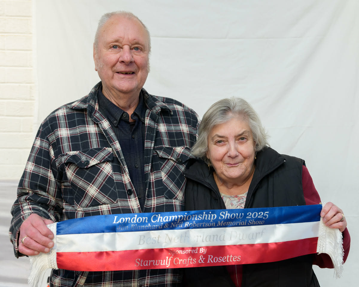 BEST OF BREED WINNERS 2025                                